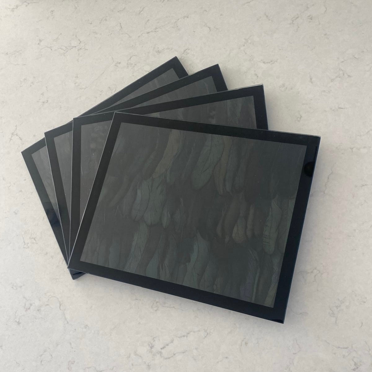 Outlet - Green Coque Square Placemats - Set of 4 - 40% Off