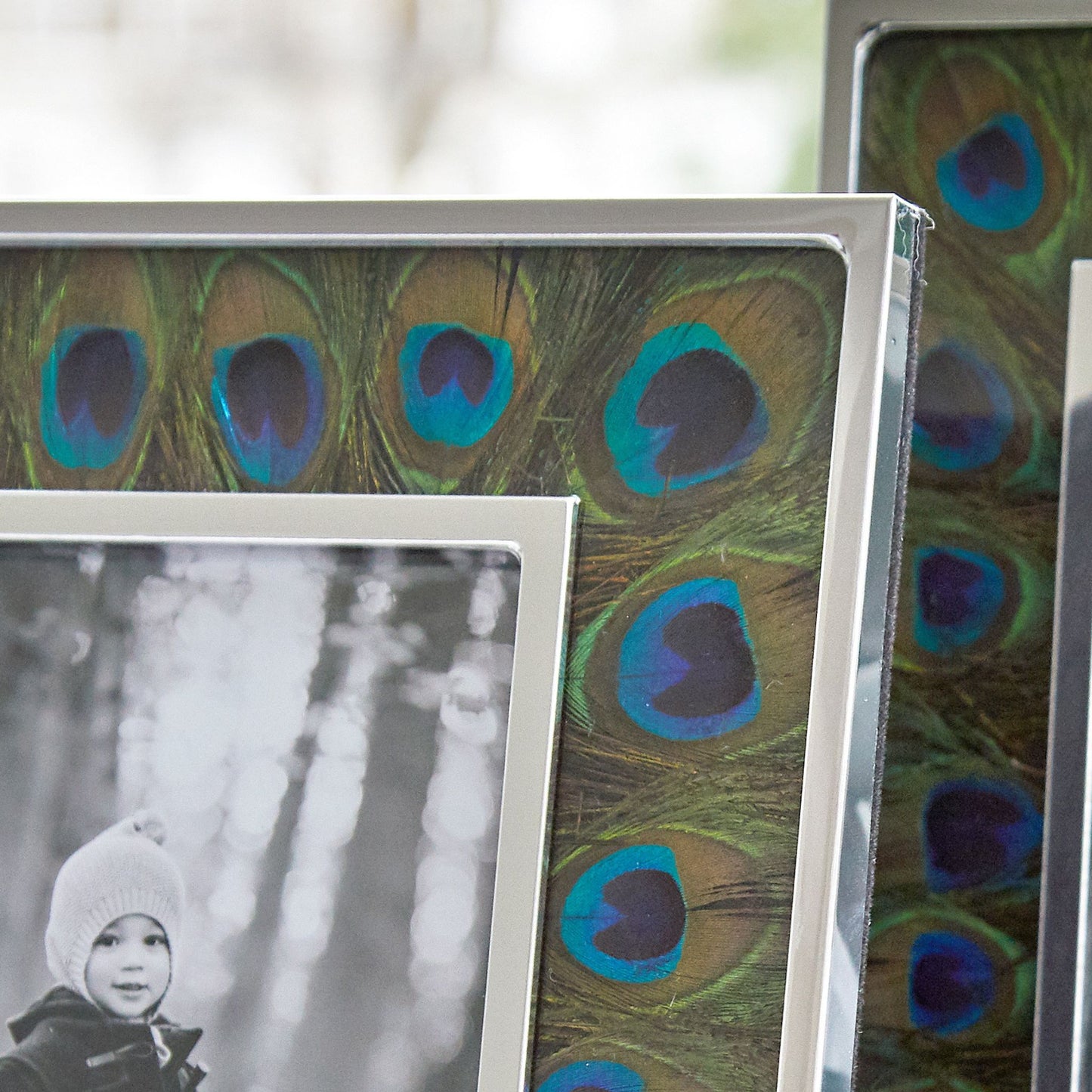 Peacock feather photo frame by Wingfield Digby
