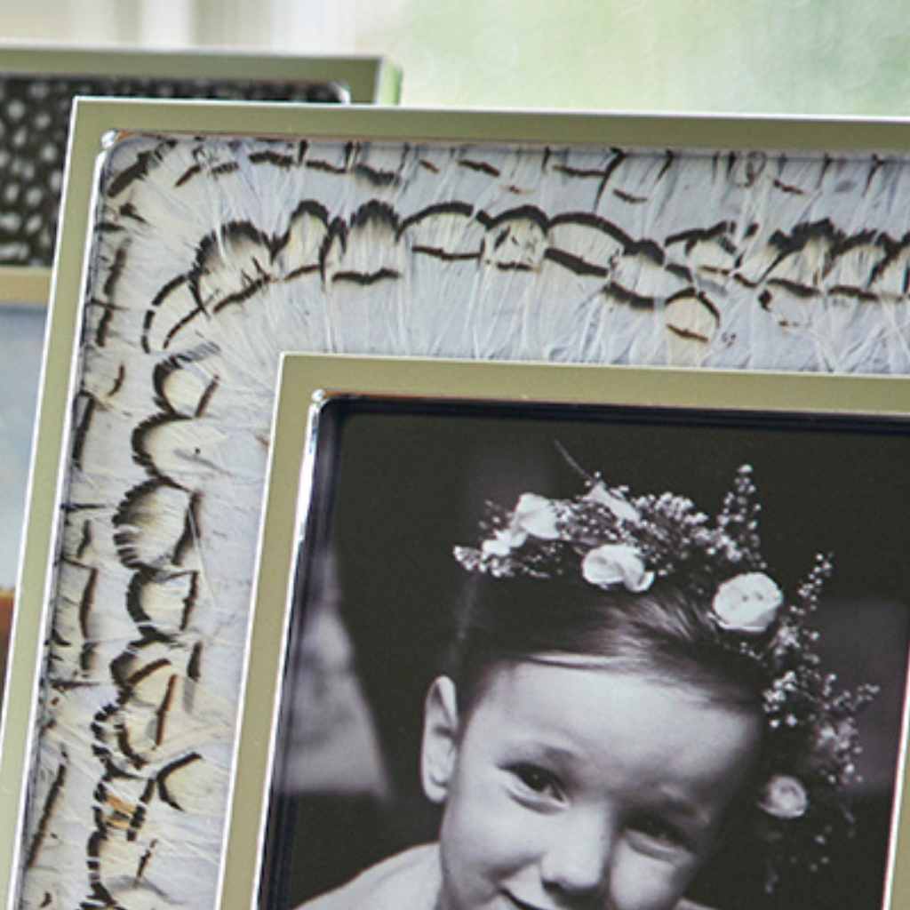 White pheasant feather photo frame by Wingfield Digby