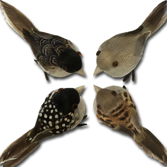 Real Feather Bird Decorations - set of 8 by Wingfield Digby