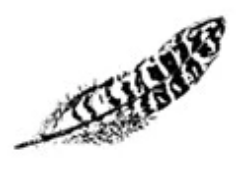 Made with real Guinea Fowl and Green Pheasant feathers