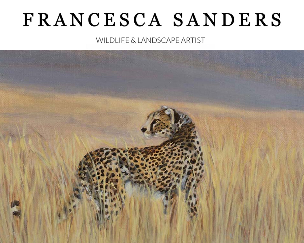 An introduction to Francesca Sanders
