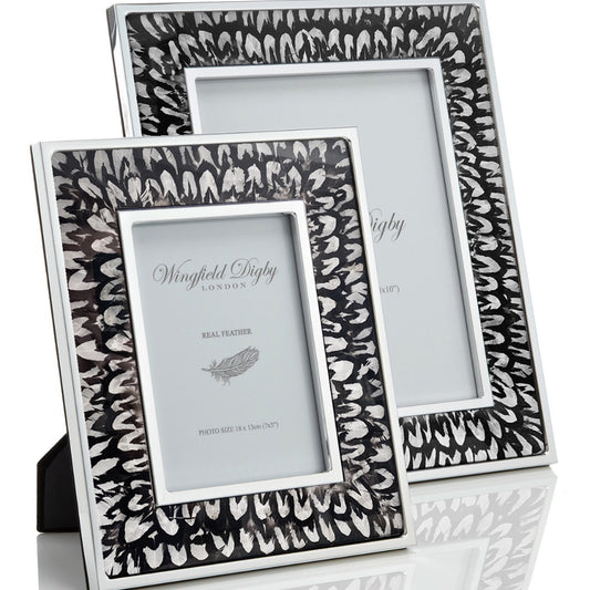 Reeves Pheasant Feather Frame by Wingfield Digby