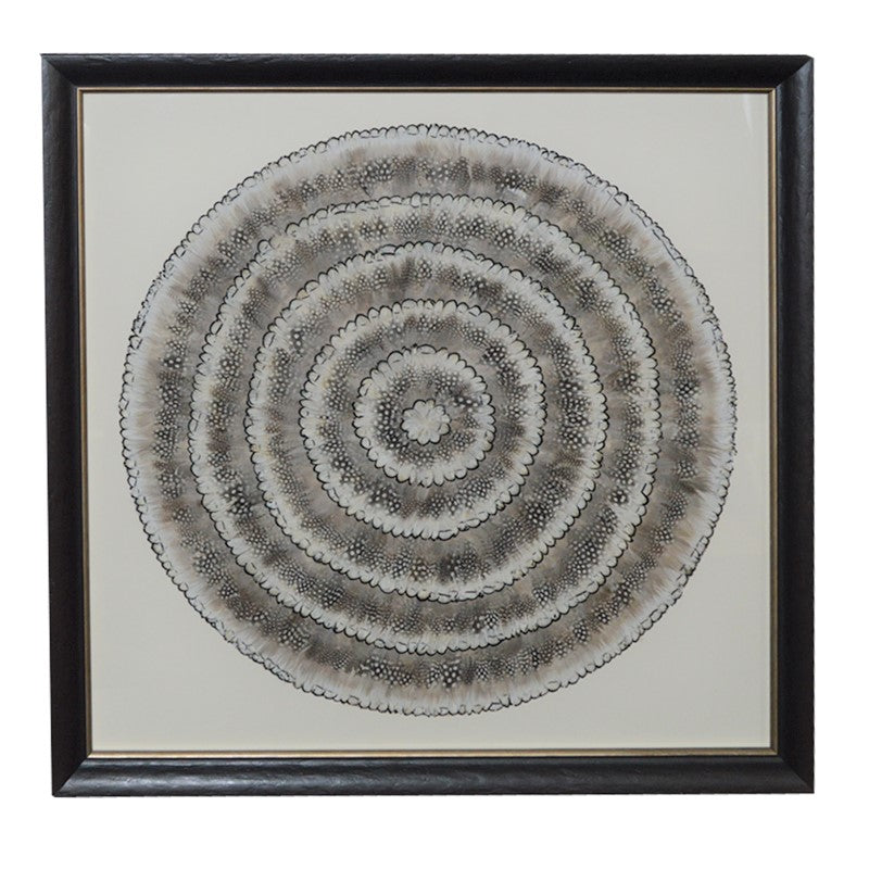 Mixed feather wall art by Wingfield Digby